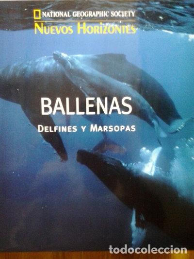 books: Ballenas, delfines y marsopas- 9788408462644
