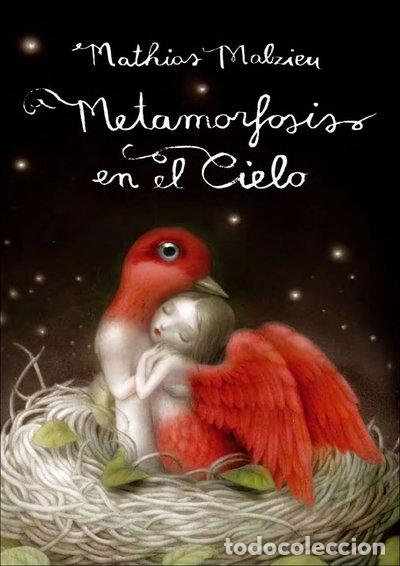 Libros: Metamorfosis en el cielo- 9788439724650