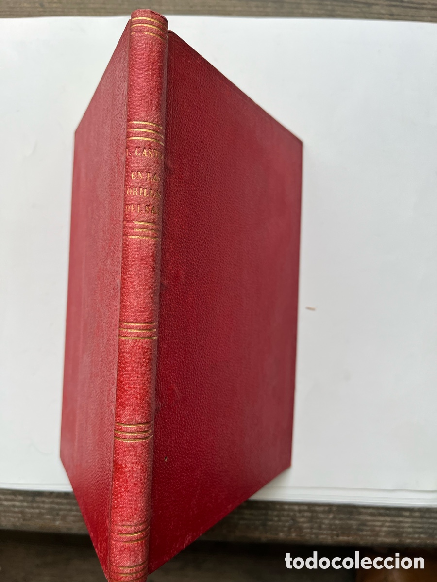 Libros: En las orillas del Sar. 1&ordf; Edici&oacute;n - Castro de Murgu&iacute;a, Rosal&iacute;a