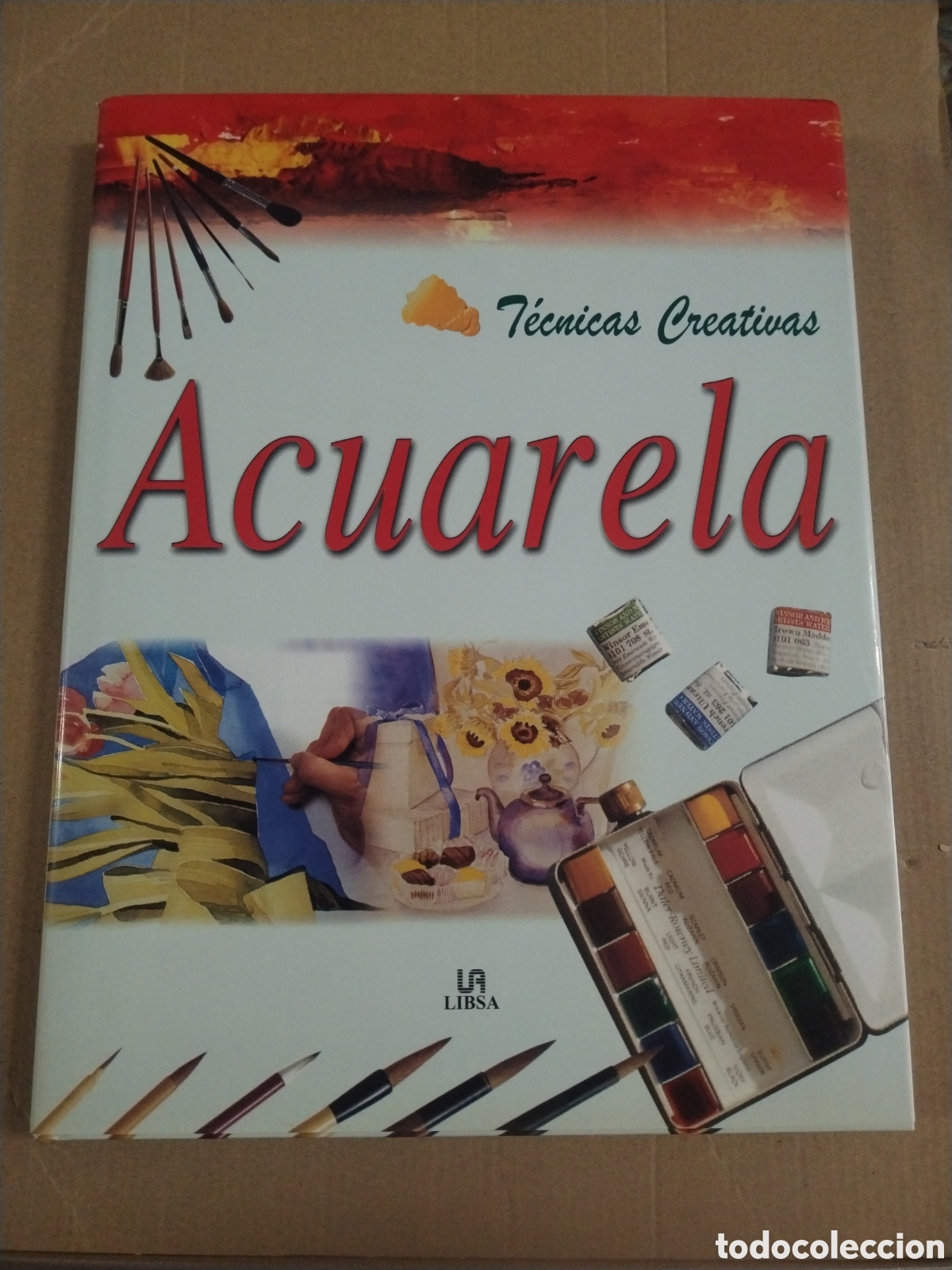 Libros: CREACIONES MIXTAS. T&Eacute;CNICAS CRETATIVAS CON ACUARELA, GUACHE Y ACR&Iacute;LICO. CL.