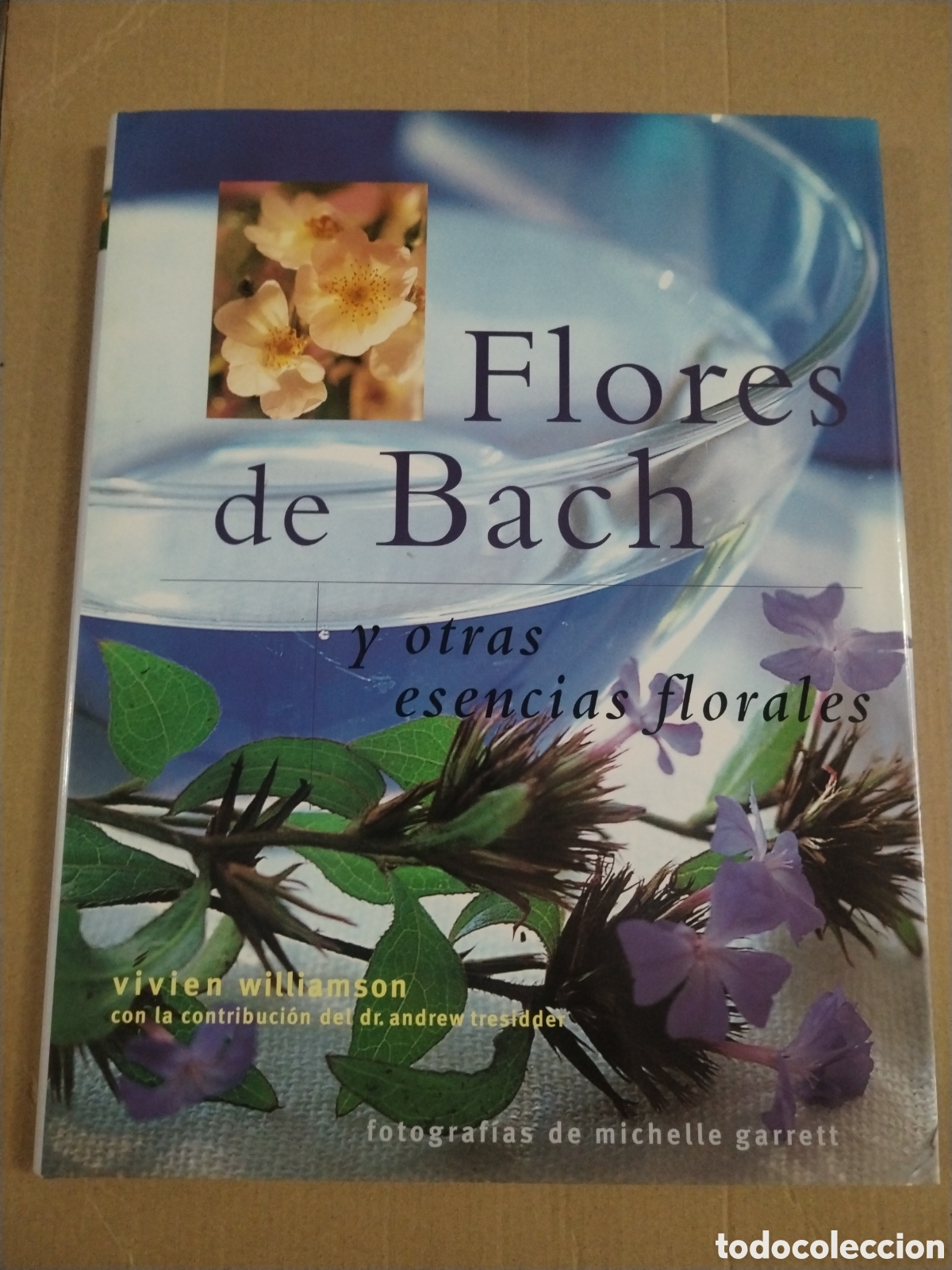 Libros: FLORES DE BACH Y OTRAS ESENCIAS FLORALES. EL PODER CURATIVO Y TRANSFORMADOR DE LA NATURALEZA.. CL.