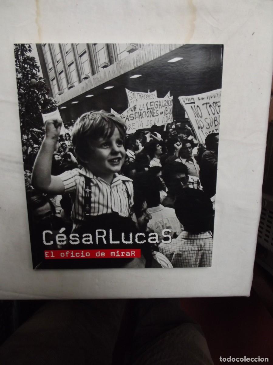 Libros: EL OFICIO DE MIRAR POR CESAR LUCAS
