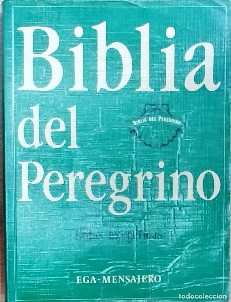 Libri di seconda mano: Biblia del Peregrino: Notas exeg&eacute;ticas - Luis Alonso Sch&ouml;kel: