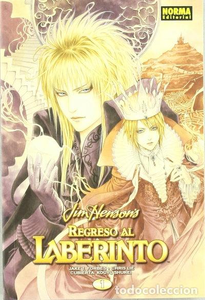 Libros: Regreso al laberinto 1- 9788498475890