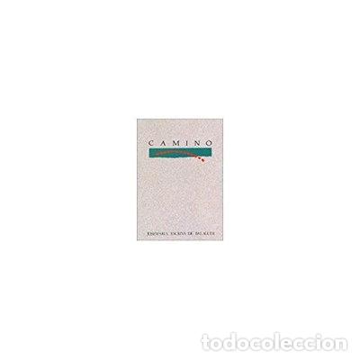 Libros: Camino- 9788432131981 - Foto 1