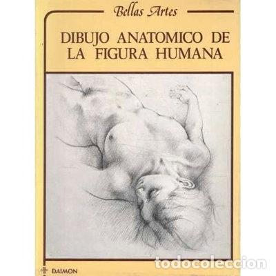 Libri di seconda mano: Dibujo anat&oacute;mico de la figura humana- 9789684104013