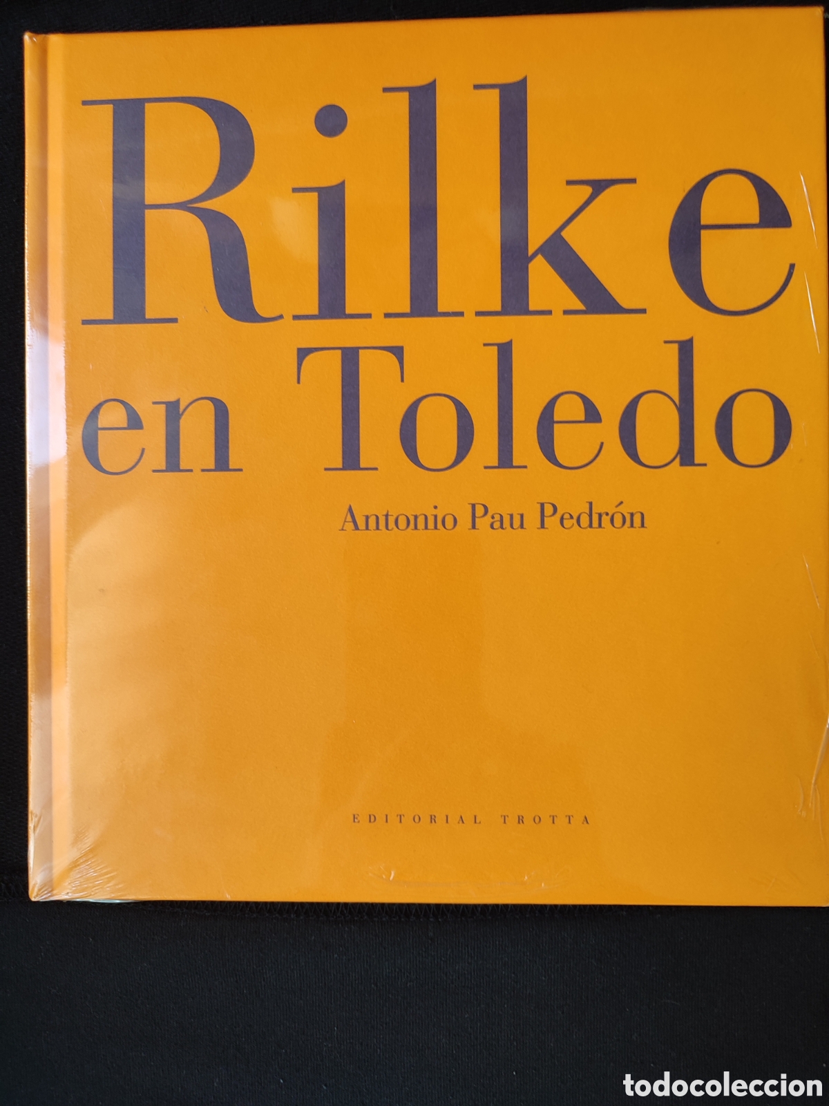 Libros: Rilke en Toledo Antonio Pam pedr&oacute;n