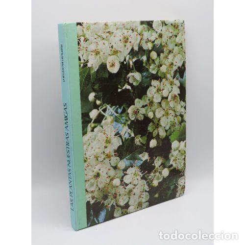Libri di seconda mano: LAS PLANTAS NUESTRAS AMIGAS. LA BELLEZA POR LAS PLANTAS. - VARIOS