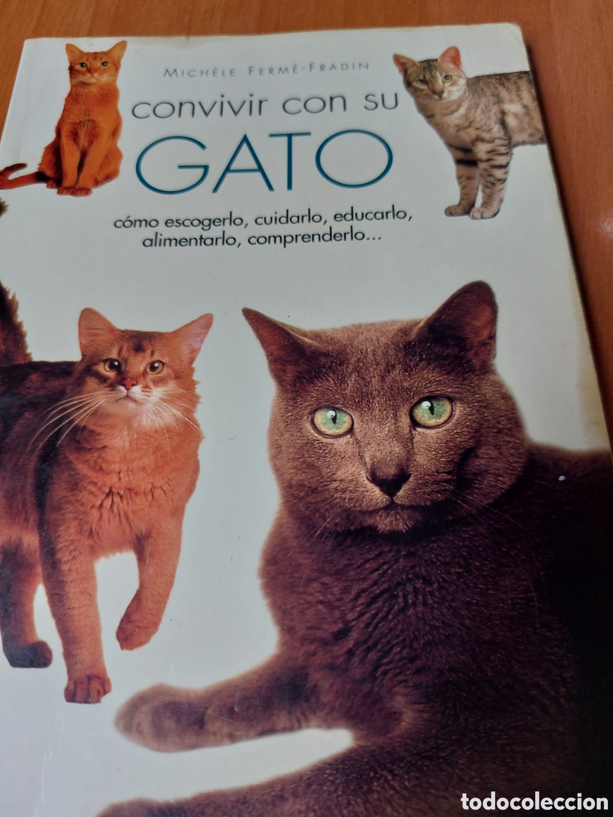 Libros: Convivir con su gato