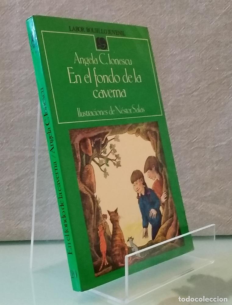 Libros: En el fondo de la caverna - Angela C. Ionescu