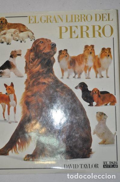 Libros: El gran libro del perro- 9788403590946