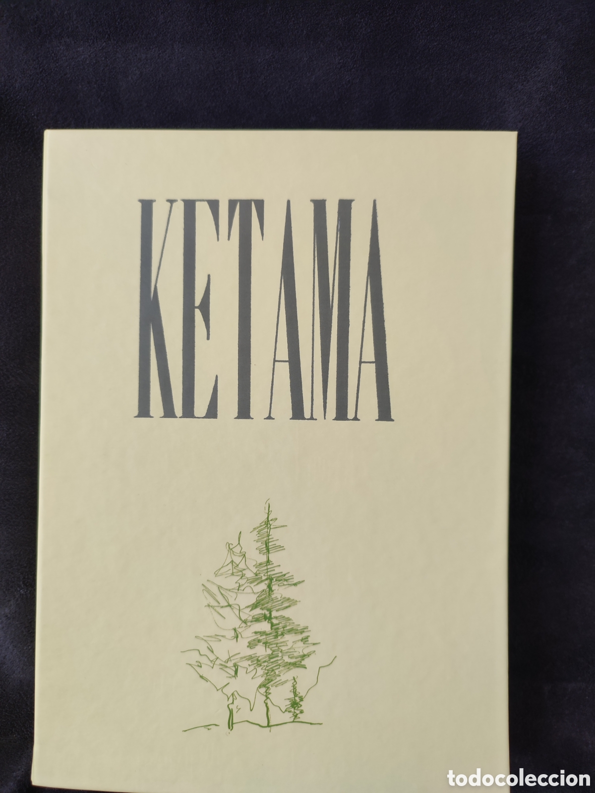 Libros: Ketama fundaci&oacute;n Jorge Guill&eacute;n