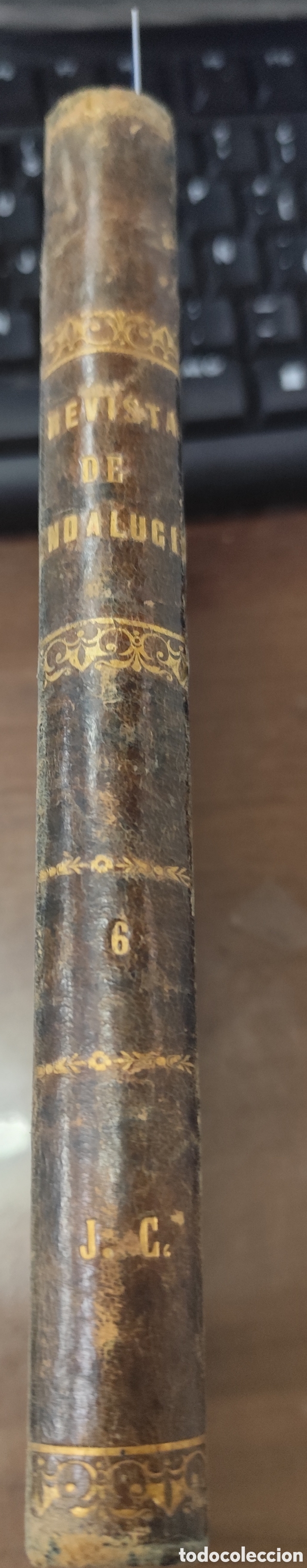 Libri di seconda mano: REVISTA DE ANDALUCIA. Tercer A&ntilde;o. Tomo VI. Del 10 octubre 1876 a 25 Diciiembre 1876 - CARRION,Antoni