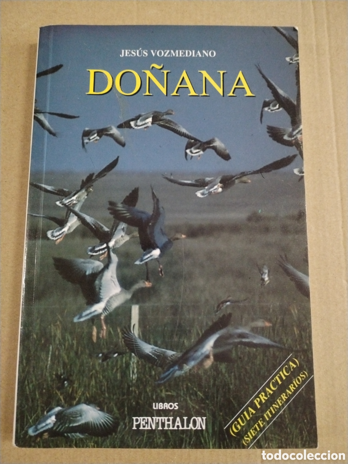 Libros: DO&Ntilde;ANA (COLECCION PENTHALON). JESUS VOZMEDIANO GOMEZ FEU. CL