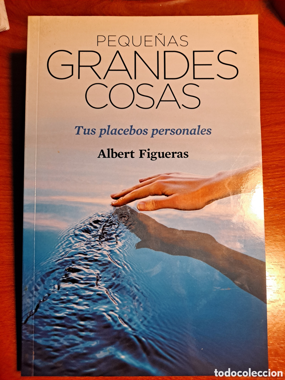 Libros: Peque&ntilde;as grandes cosas. Tus placebos personales
