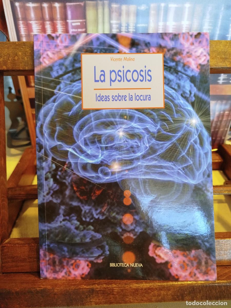 Libros: La psicosis: ideas sobre la locura - MOLINA, Vicente