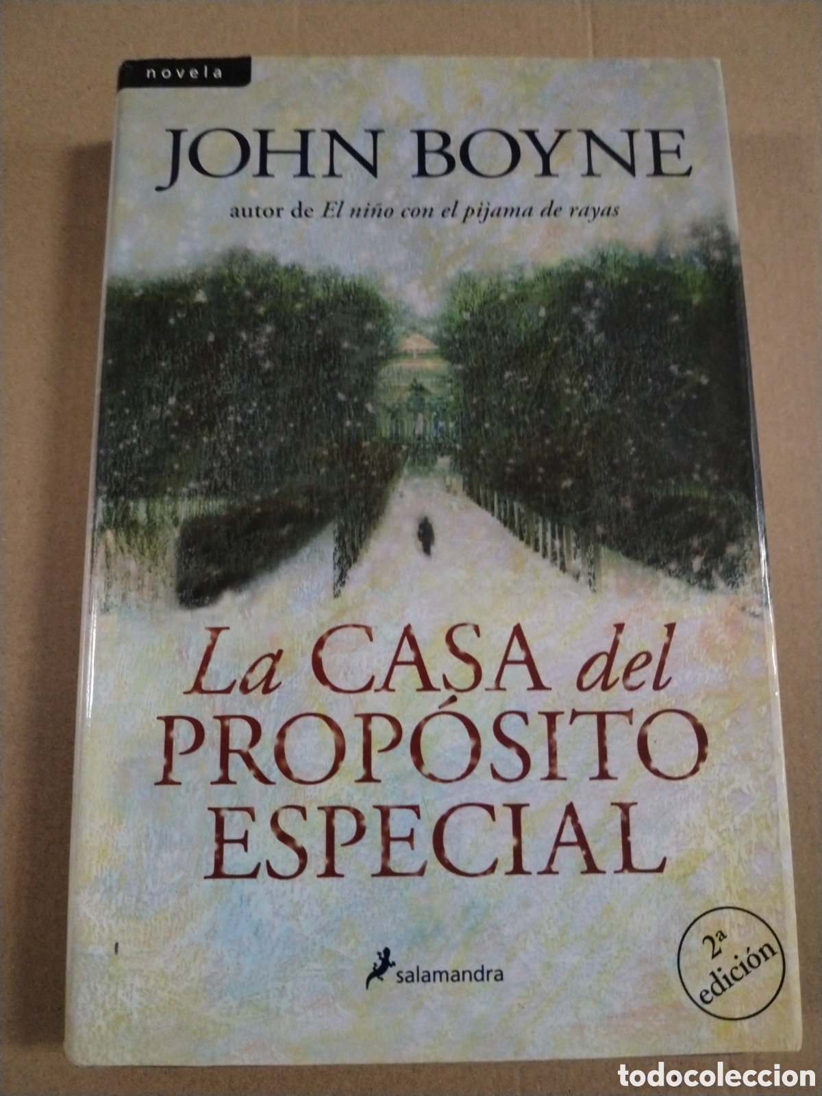 Livres: LA CASA DEL PROPOSITO ESPECIAL. John Boyne. CL