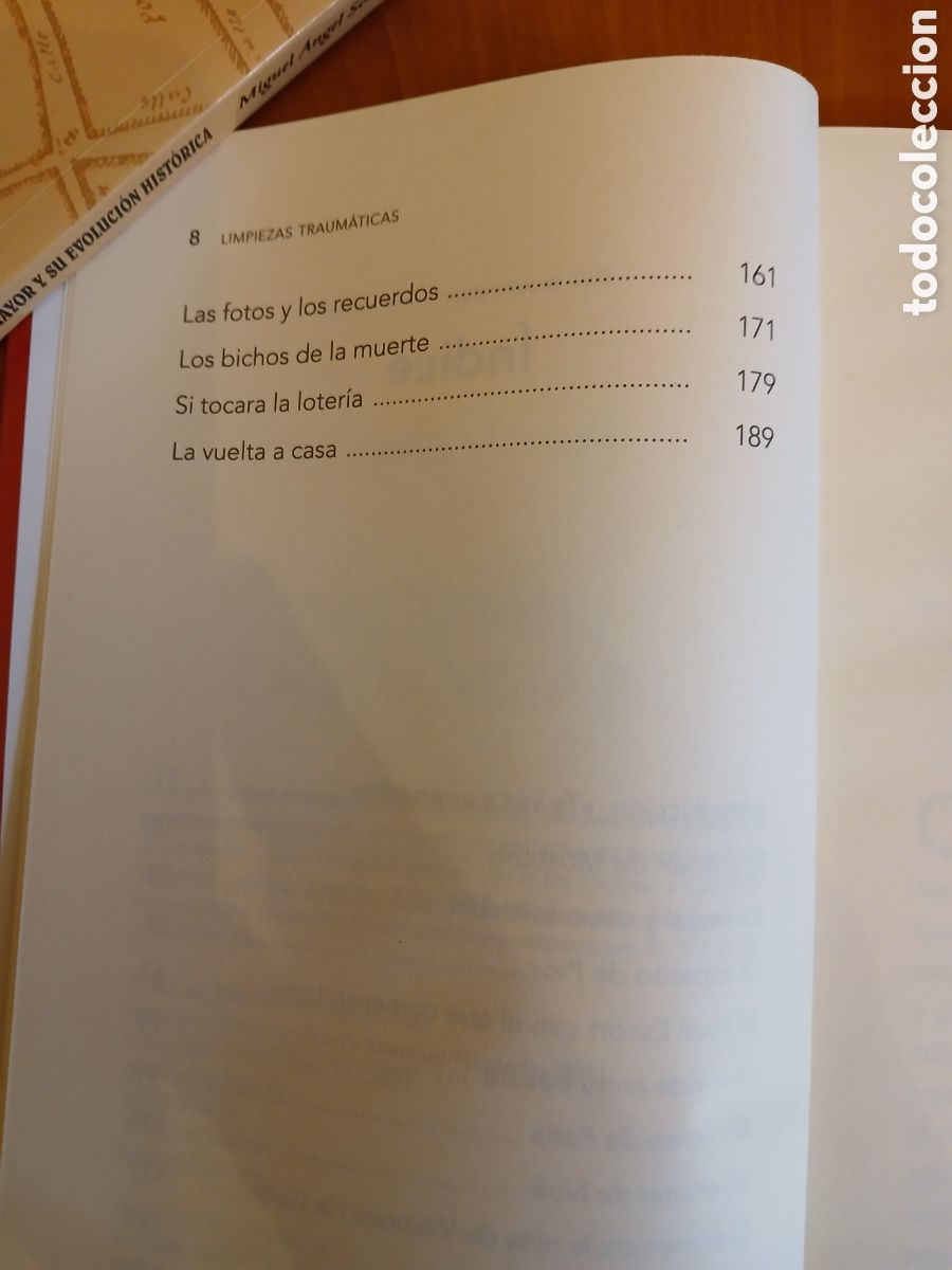 Libros: Limpiezas traum&aacute;ticas. Beatriz Gonz&aacute;lez. - Foto 5