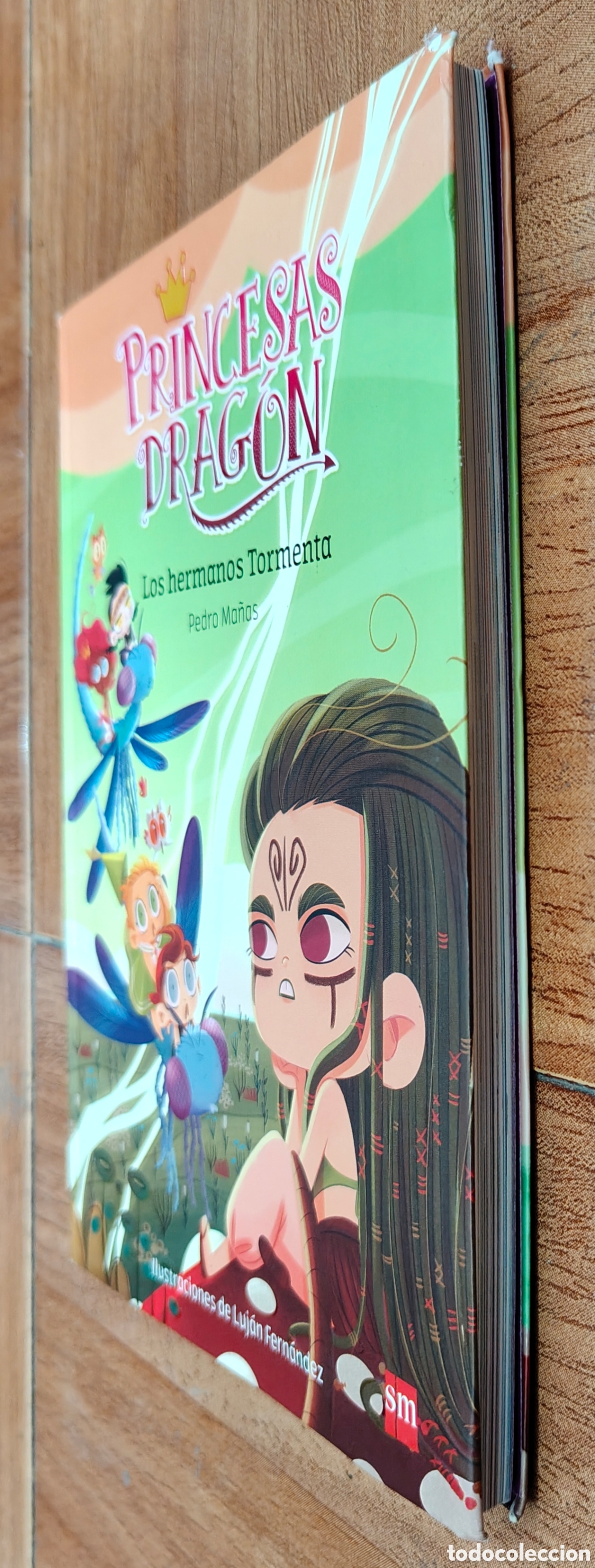 Libros: Princesas Drag&oacute;n 5: Los Hermanos Tormenta - Pedro Ma&ntilde;as - Foto 2