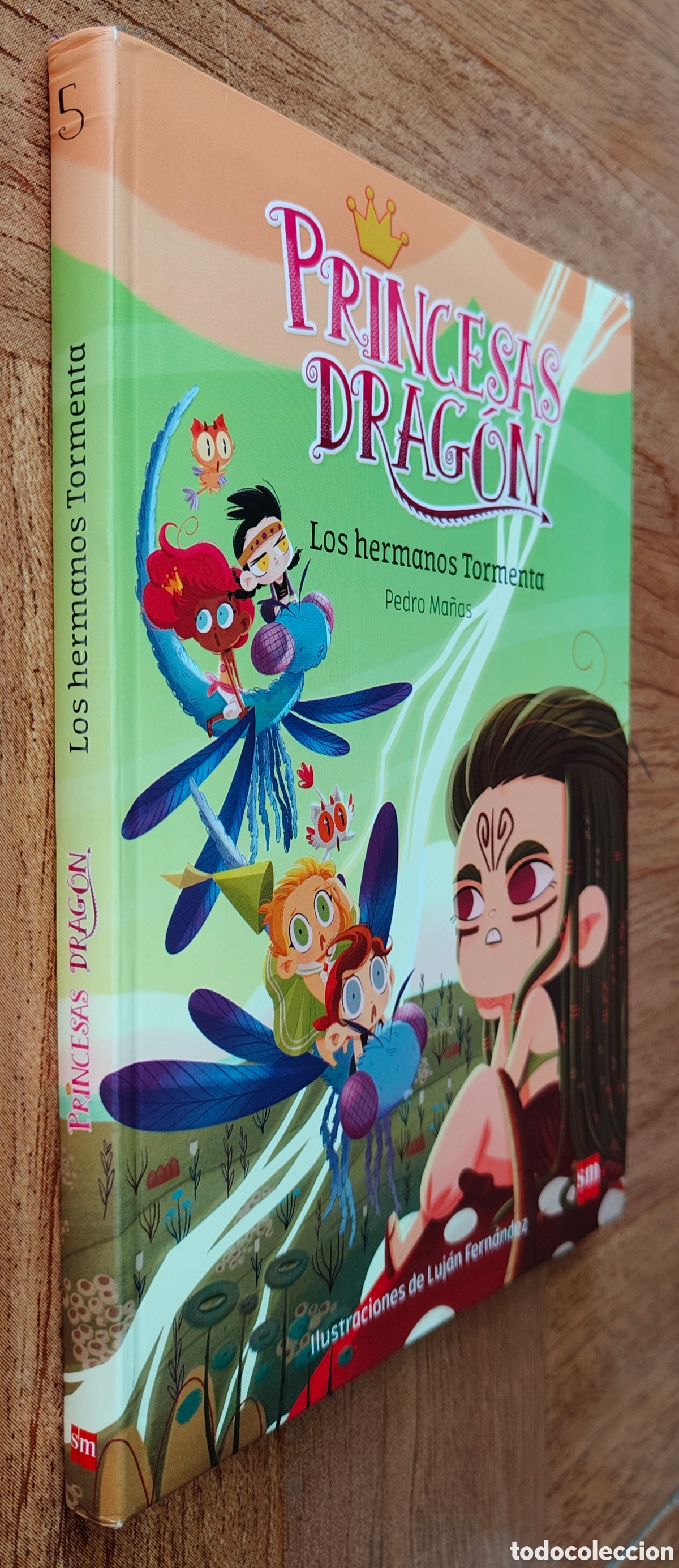 Libros: Princesas Drag&oacute;n 5: Los Hermanos Tormenta - Pedro Ma&ntilde;as - Foto 1