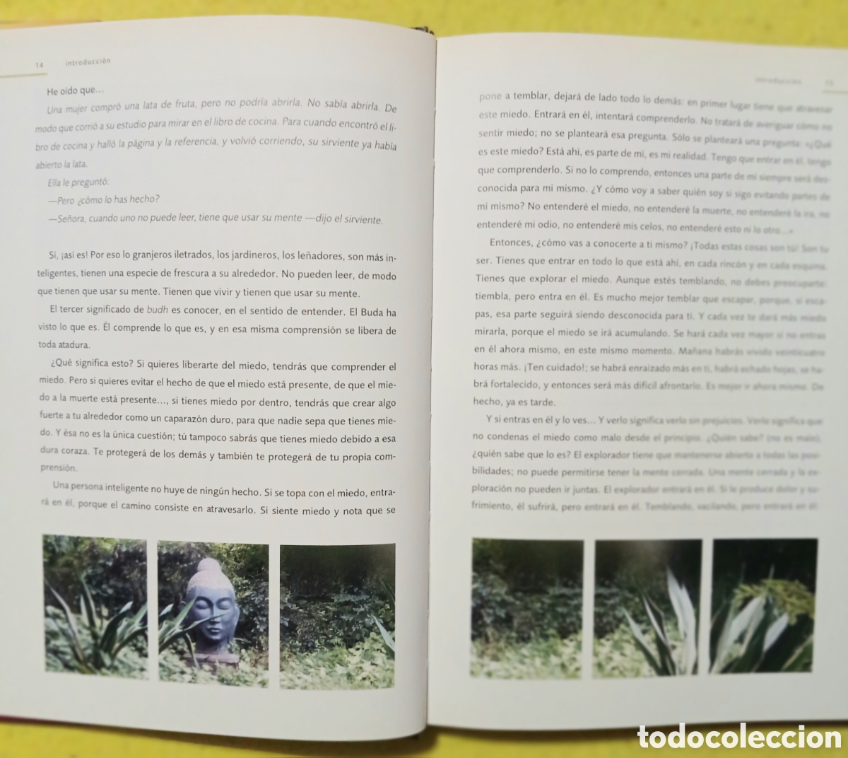 Libros: Buda, su vida y ense&ntilde;anzas - Foto 4