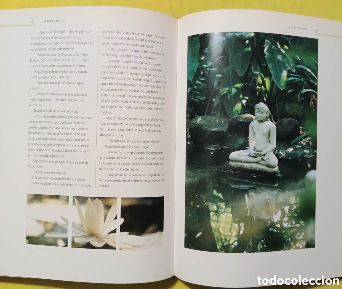 Libros: Buda, su vida y ense&ntilde;anzas - Foto 6