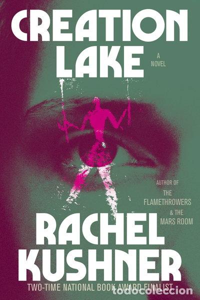 Libri di seconda mano: Creation Lake- 9781668077412