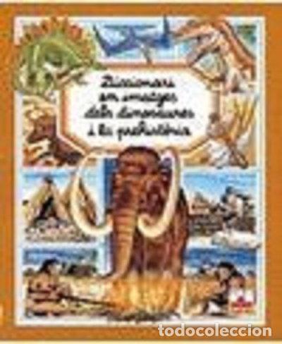 books: Diccionari en imatges dels dinosaures i la prehistoria- 9782215065180