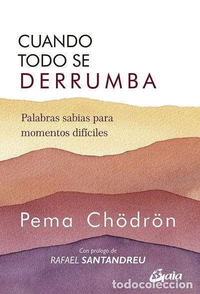 Livros em segunda m&atilde;o: Cuando todo se derrumba- 9788484459941