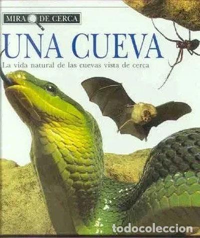 Libros: Una cueva- 9788420749266 - Foto 1