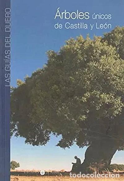 Libros: &Aacute;rboles &uacute;nicos de Castilla y Le&oacute;n- 9788492535392