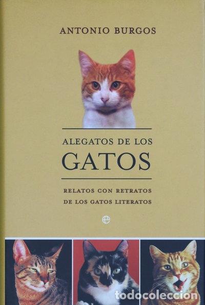 Libri di seconda mano: Alegatos de los gatos- 9788497342292