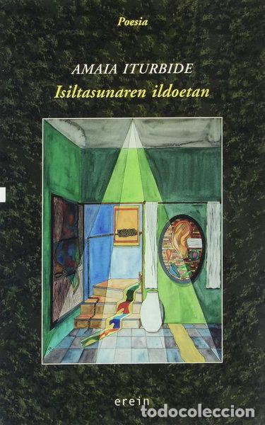 Livres: Isiltasunaren ildoetan- 9788491096528