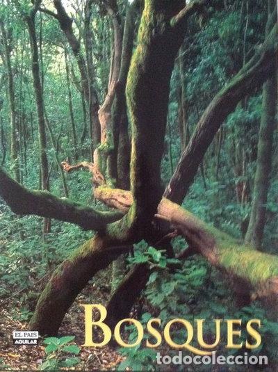 Libros: Bosques- 9788403502529