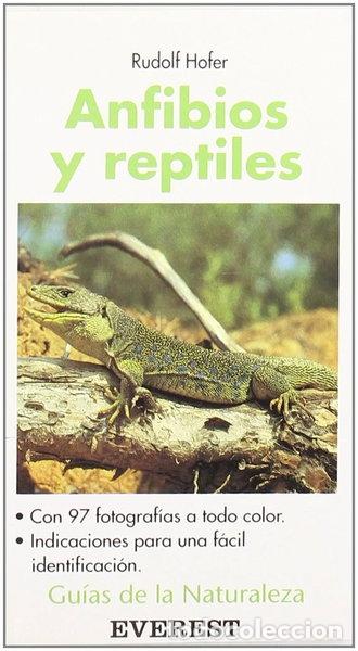 Libros: Anfibios y reptiles- 9788424126421