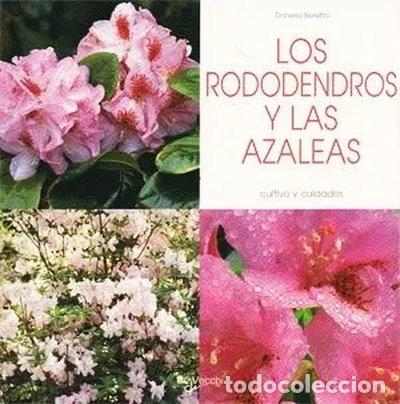 Livros em segunda m&atilde;o: Azaleas y rododendros- 9788431526115