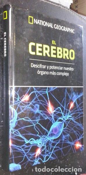 Libros: El cerebro: Descifrar y potenciar nuestro &oacute;rgano m&aacute;s complejo- 9788447390724
