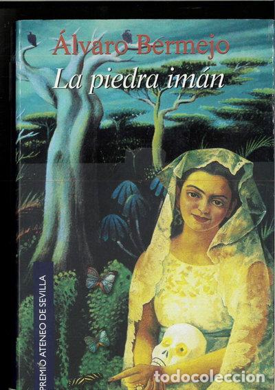 Libros: La piedra im&aacute;n- 9788484330417
