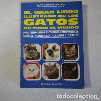 B&uuml;cher: Gran Libro de Los Gatos- 9788431502942
