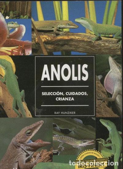 B&uuml;cher: Anolis- 9788425510946