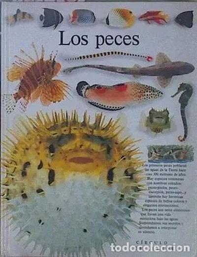 Livros em segunda m&atilde;o: Los Peces- 9788422638063