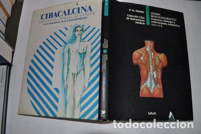 Livres: Sistema musculoesquel&eacute;tico: Anatom&iacute;a, fisiolog&iacute;a y enfermedades metab&oacute;licas- 9788434522053