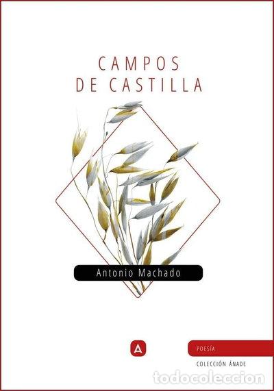 Livros em segunda m&atilde;o: Campos de Castilla- 9788418143274