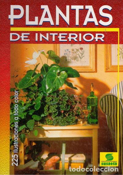 Livros em segunda m&atilde;o: Plantas de interior- 9788430516155
