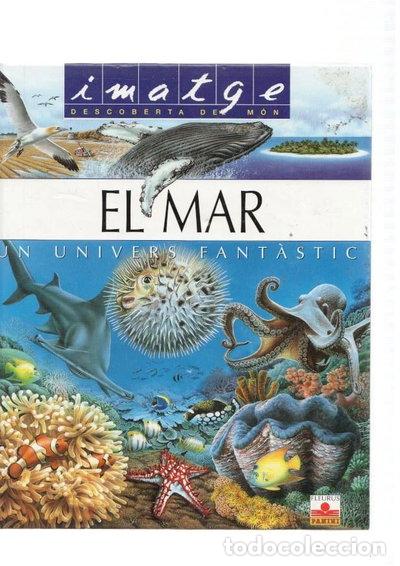 Libri di seconda mano: El mar. Un univers fant&agrave;stic- 9782215066606