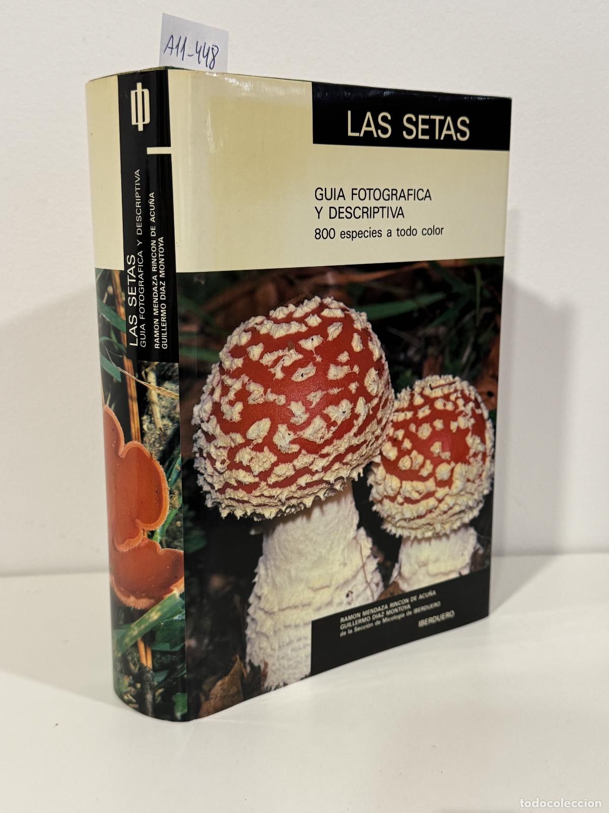 Libros: MENDAZA RINC&Oacute;N de ACU&Ntilde;A, Ram&oacute;n; D&Iacute;AZ MONTOYA, Guillermo. - Las setas. Gu&iacute;a fotogr&aacute;fica y descriptiva