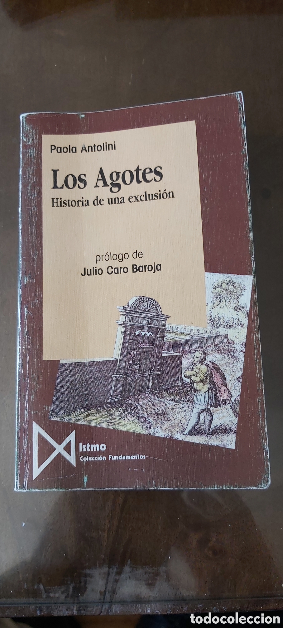 Libros: LOS AGOTES HISTORIA DE UNA EXCLUSION DE PAOLA ANTOLINI
