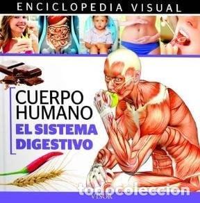 books: Enciclopedia visual de anatom&iacute;a : cuerpo humano vida y salud - Desconocido