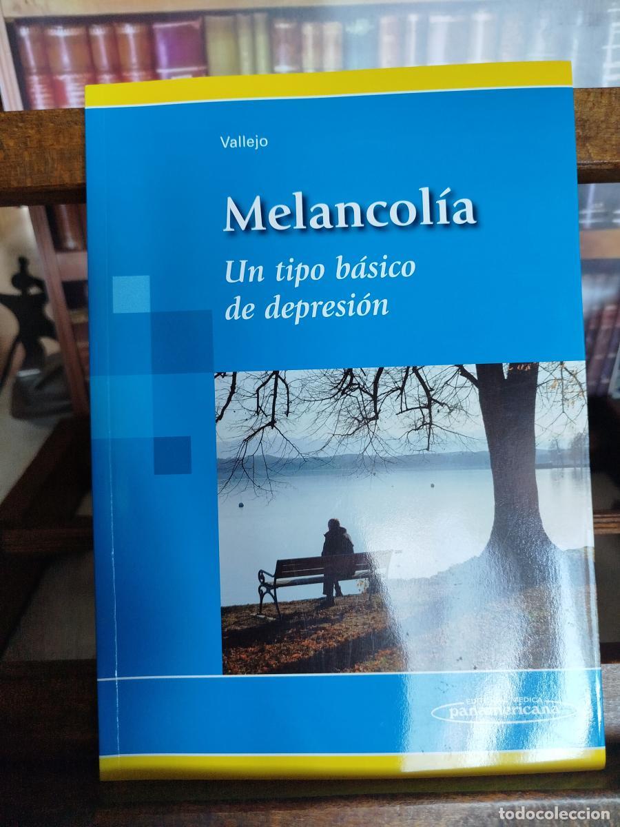 Libros: Melancol&iacute;a: un tipo b&aacute;sico de depresi&oacute;n - VALLEJO RUILOBA, JULIO