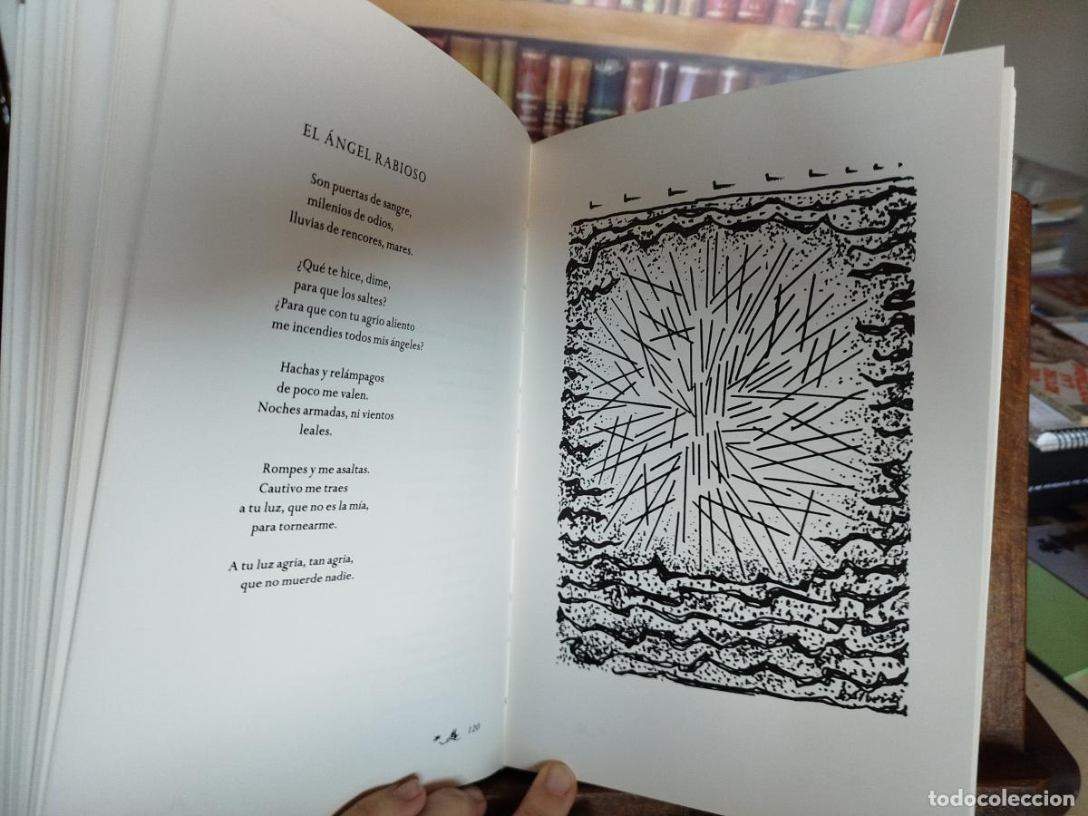Libros: Todo el mar - Alberti, Rafael (1902-1999) - Foto 7